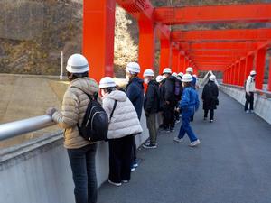 もみじ橋見学の様子