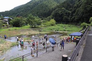 川遊びの様子