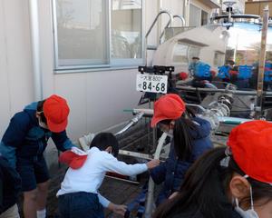 埼玉大学教育学部附属小学校