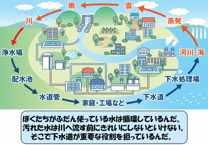 水の循環について