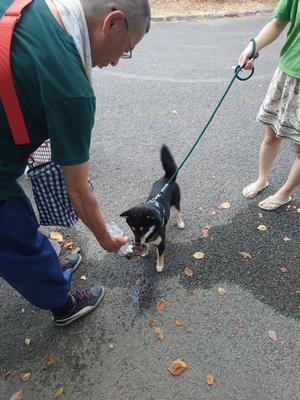 応急給水