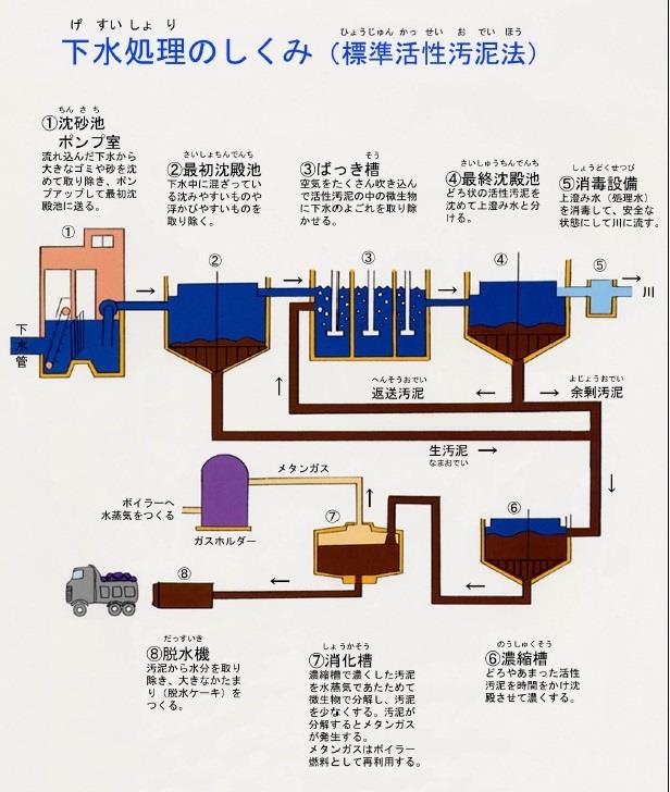 下水をきれいにするしくみ