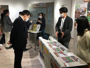 展示5