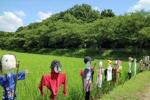 自然風景賞 結城周治さん「夏休みの見張り番」