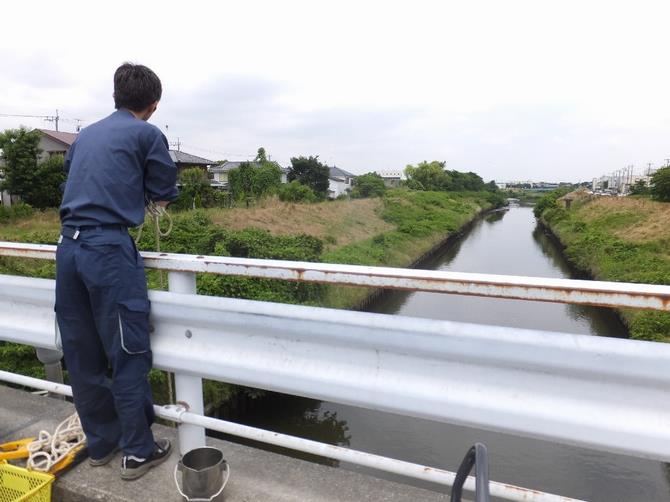 河川調査の様子