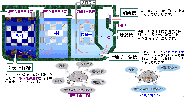 嫌気ろ床接触ばっ気方式の構造図