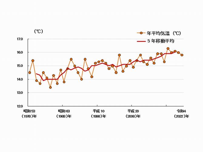 年平均気温の推移