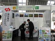 東電