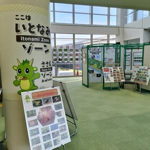 いとなみ