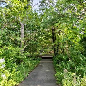自然庭園