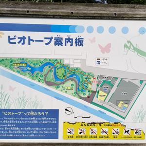 案内板