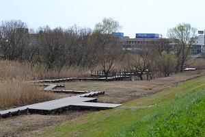 三橋総合公園