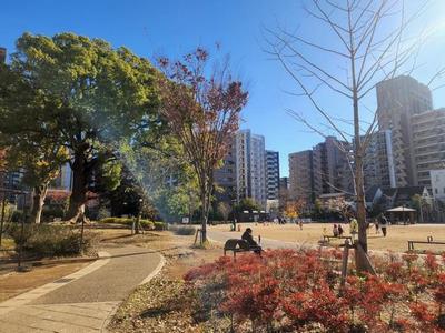 常盤公園とマンション群