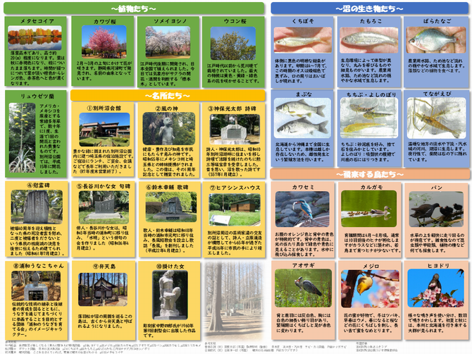 見どころマップ【裏】