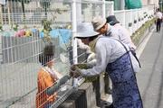 フラワーポッドで学校を包みます