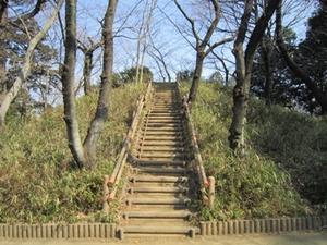 富士塚の頂上へと導く木段