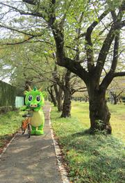 元荒川サイクリングロード