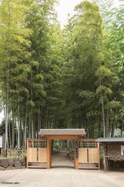 氷川の杜文化館