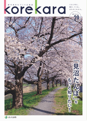 表紙_第29号