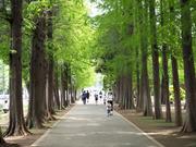 別所沼公園