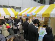 oomiyakuminmaturi2