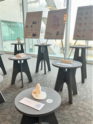 展示2
