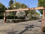 秋葉の森総合公園