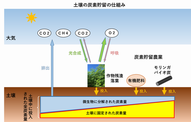 tansotyoryuunougyou1