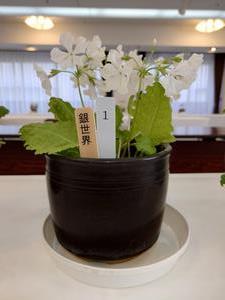 花曇り