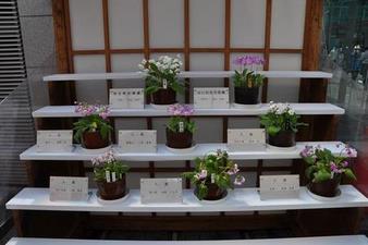 tenjidai