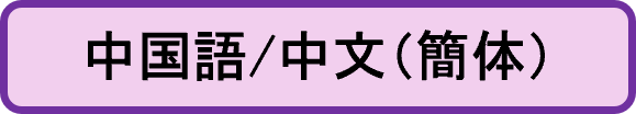 中国語/中文（簡体）