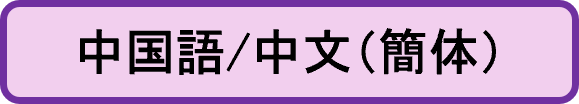 中国語/中文（簡体）