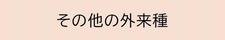 sonotanogairaishu