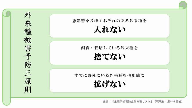 gairaishuhigaiyobousangensoku