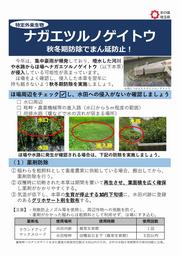 ナガエ秋期防除チラシ(埼玉県)