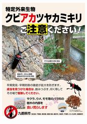 クビアカポスター