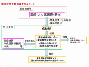 感染症発生動向調査イメージ