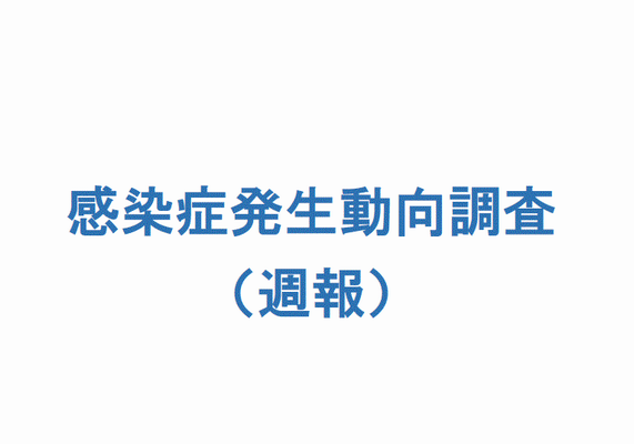 週報