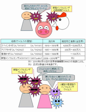 インフルエンザの違い3