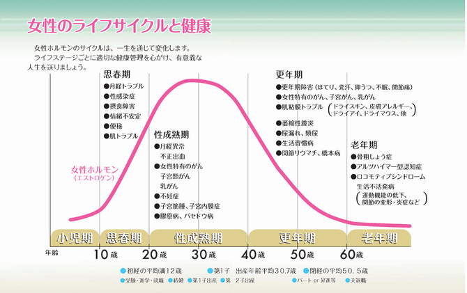 女性のライフサイクルと健康