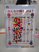 腸年齢テスト