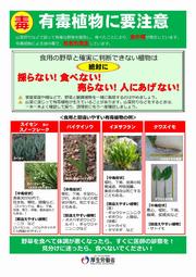 有毒植物R3