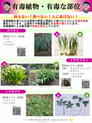 有毒植物・有毒な部位リーフレット