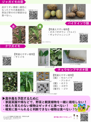 有毒植物・有毒な部位リーフレット