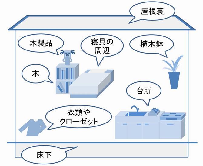 発生箇所