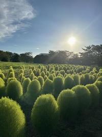 植物賞 中林 ノアさん「全校集会」