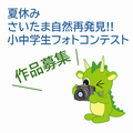 フォトコンテスト