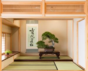 盆栽美術館座敷