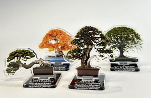 盆栽アクスタ