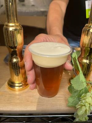 beer